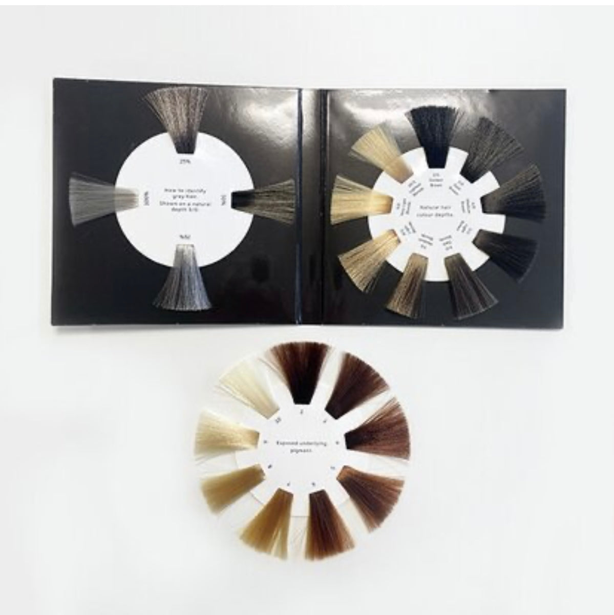 Colour Consultation Wheel - Wella